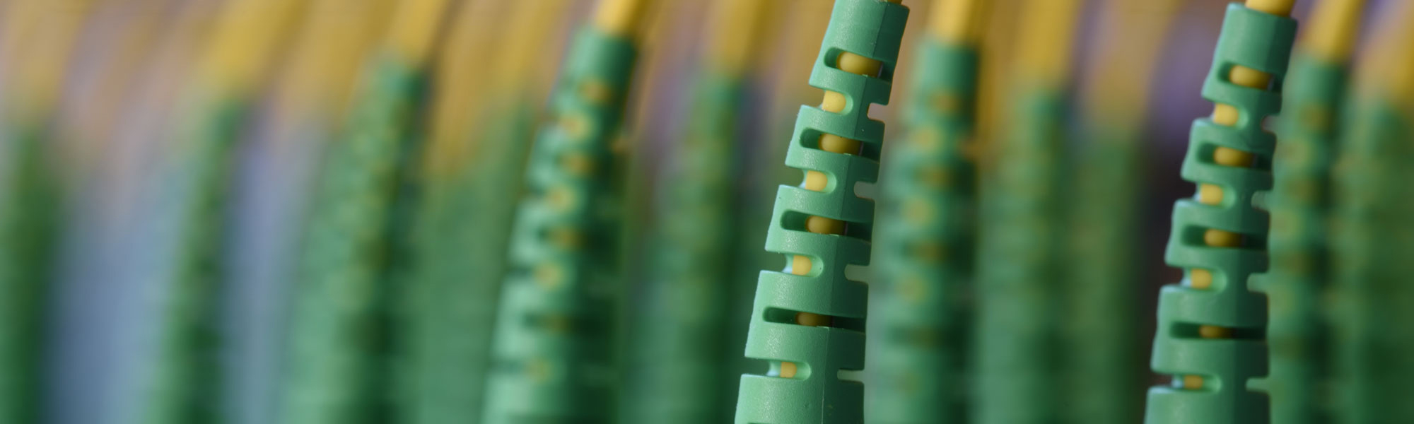 Green cables by salita2010 on Adobe Stock